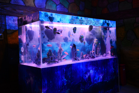 Quiero personalizar un acuario acrílico seaclear para la venta - leyu Acrylic Factory