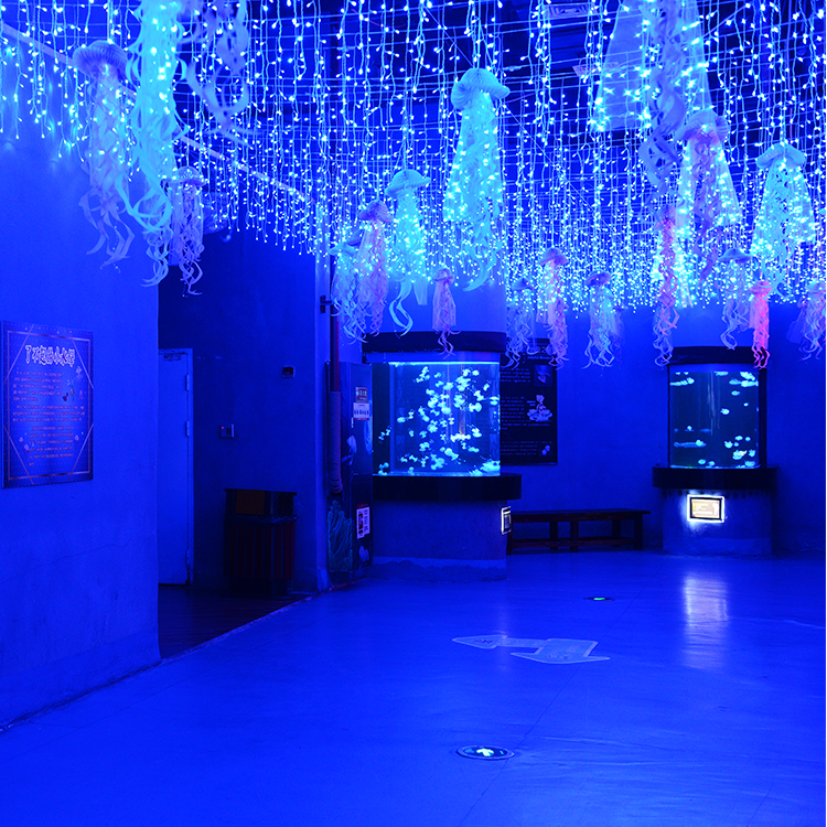 La fábrica de acrílico Bullet Aquarium se especializa en productos personalizados con una vida útil de 20 años - LEYU