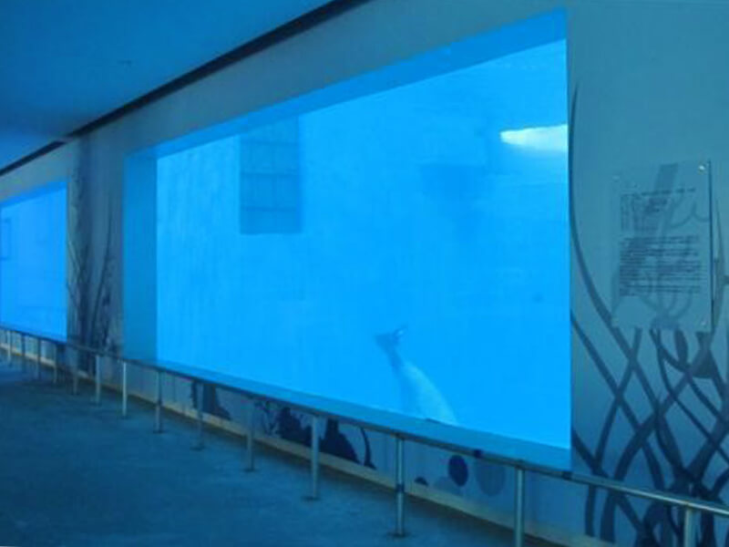 Mundo submarino de Shandong Penglai