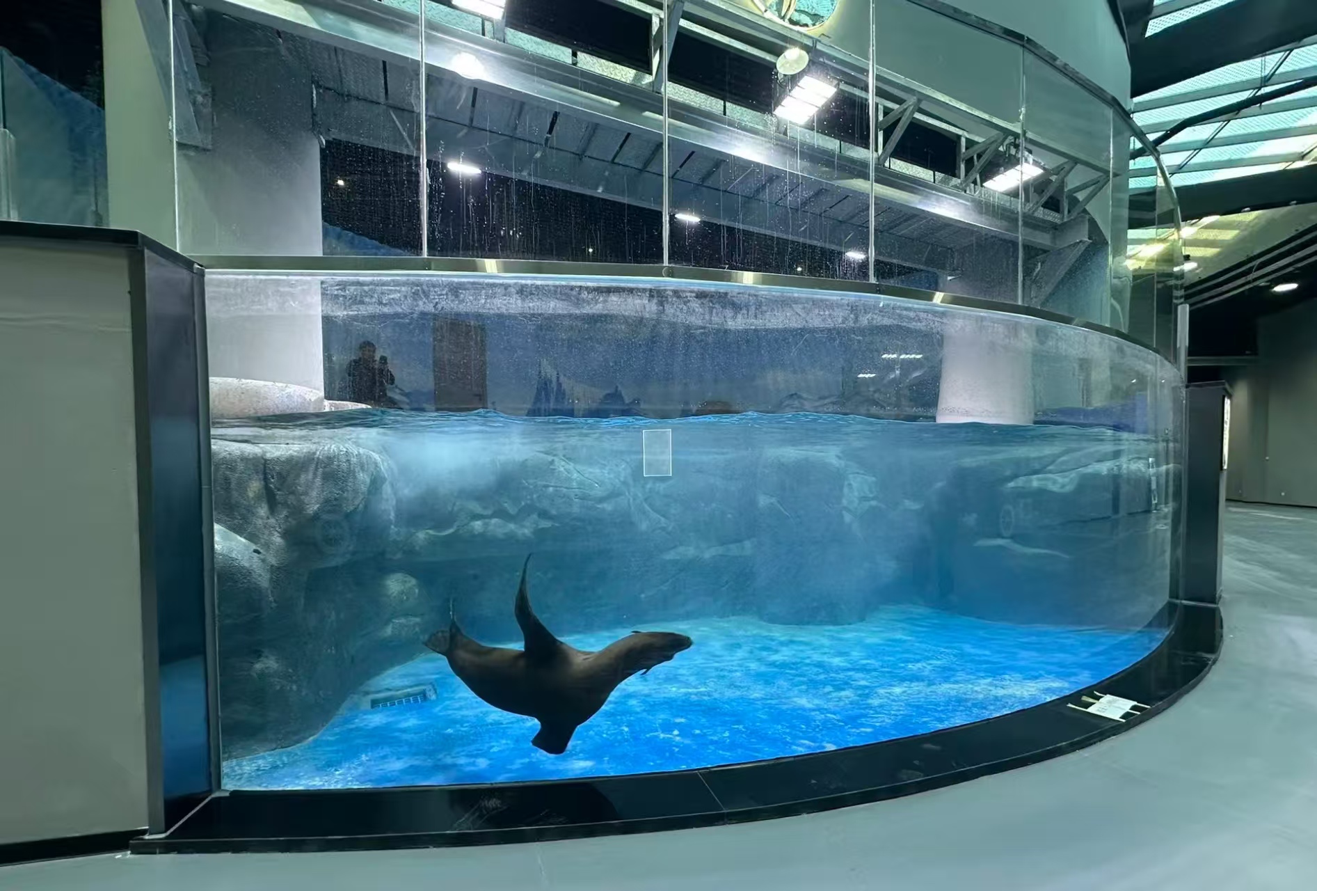Acuario Aqualife construido por Leyu Acrylic Aquarium Factory - Leyu