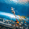 360 Aquarium Tunnel Polar Ocean World, Leyu profesional personalizado- Leyu