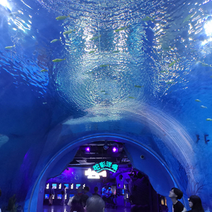 Acuario de túnel de vidrio acrílico transparente - Fábrica de productos de láminas acrílicas Leyu