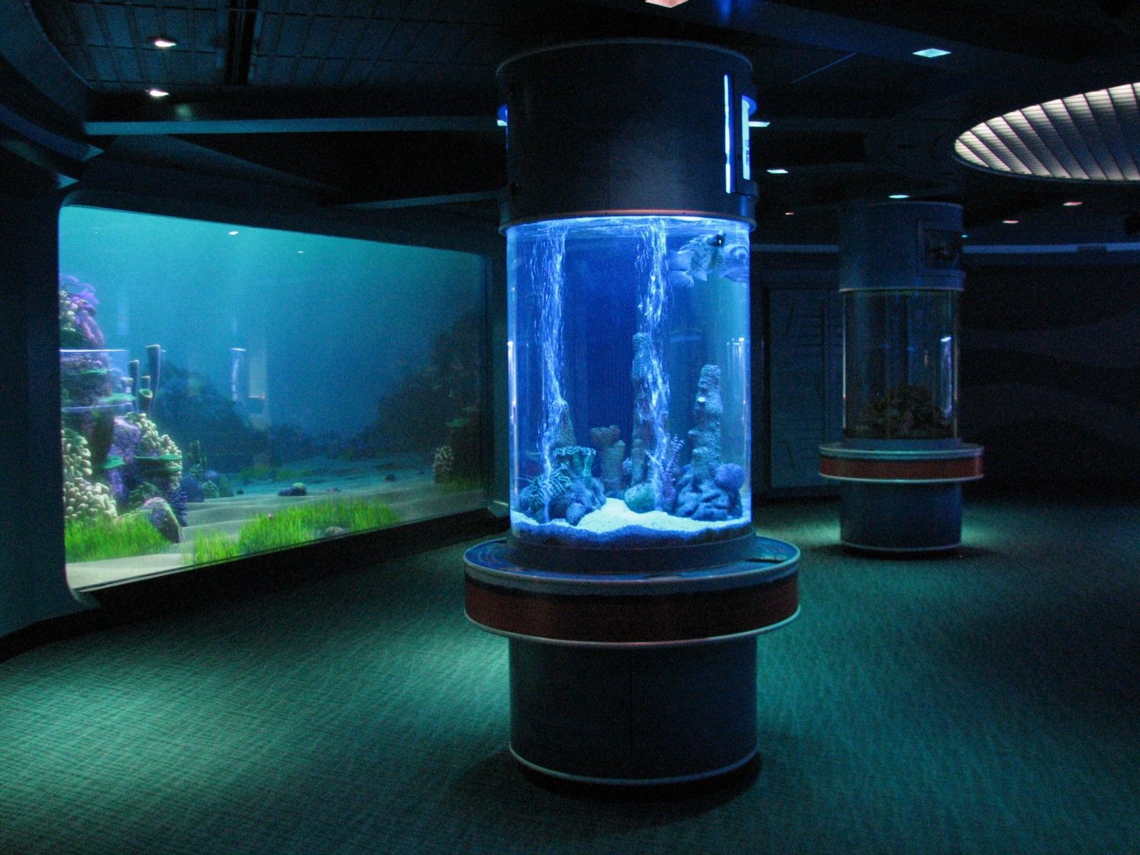 Fábrica de peceras de acuario de acrílico de cilindro grande - leyu