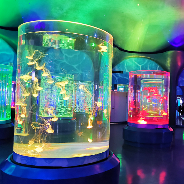 Pet Jellyfish USA Pet Jellyfish At Home acuario de medusas vivas acuario de medusas vivas a la venta - Leyu 
