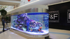 Acuario acrílico transparente de la fábrica de acuarios acrílicos Leyu - Leyu 