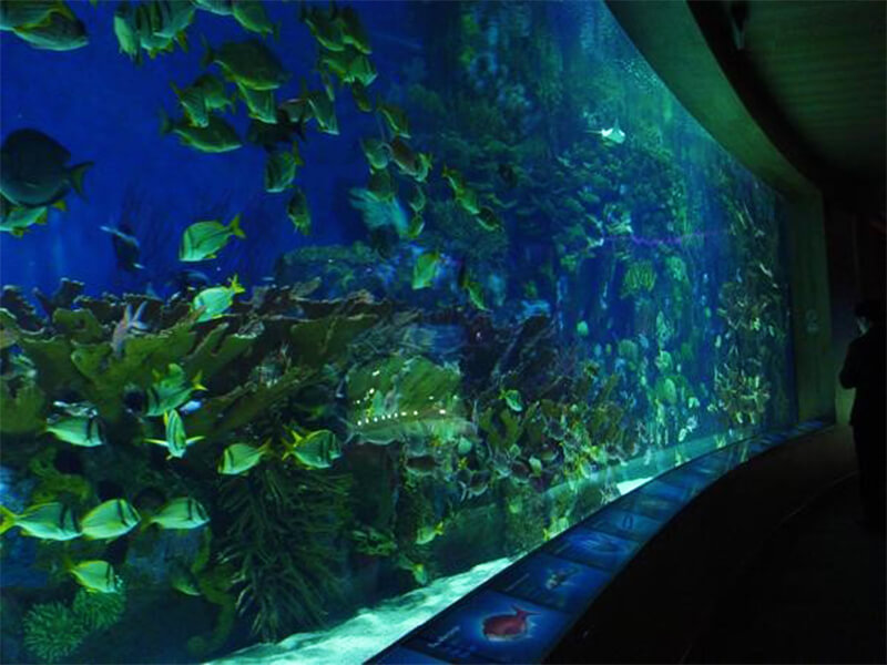 Mundo submarino de Shenyang