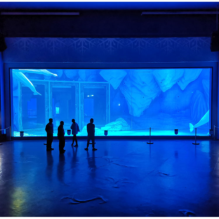 Oceanario Mount Desert explora el océano mundo oceanario Leyu Personalización profesional - Leyu