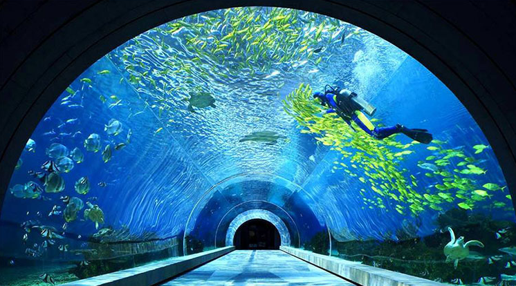 un túnel de acuario