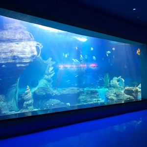 ¿Las ventanas acrílicas son menos frágiles que el vidrio en Ocean Park? -Fábrica de productos de láminas acrílicas Leyu