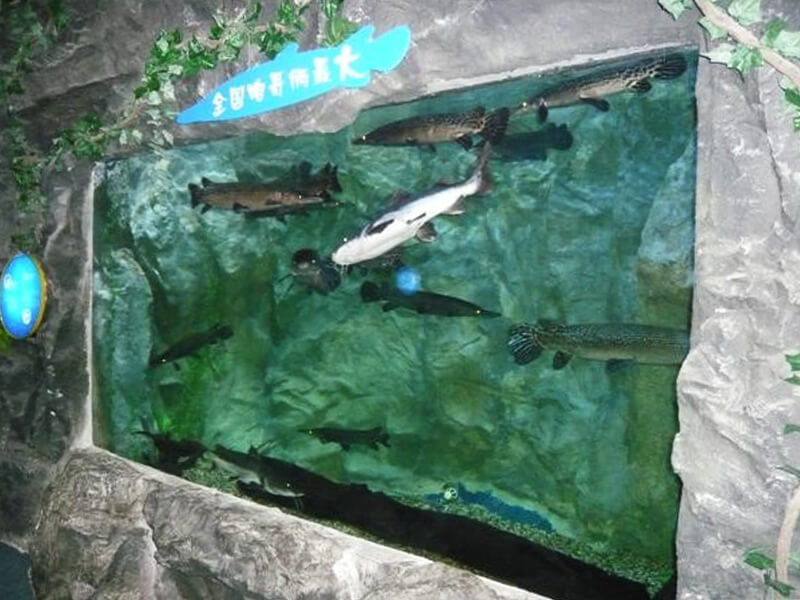 Mundo submarino Kamikaze de Ningbo