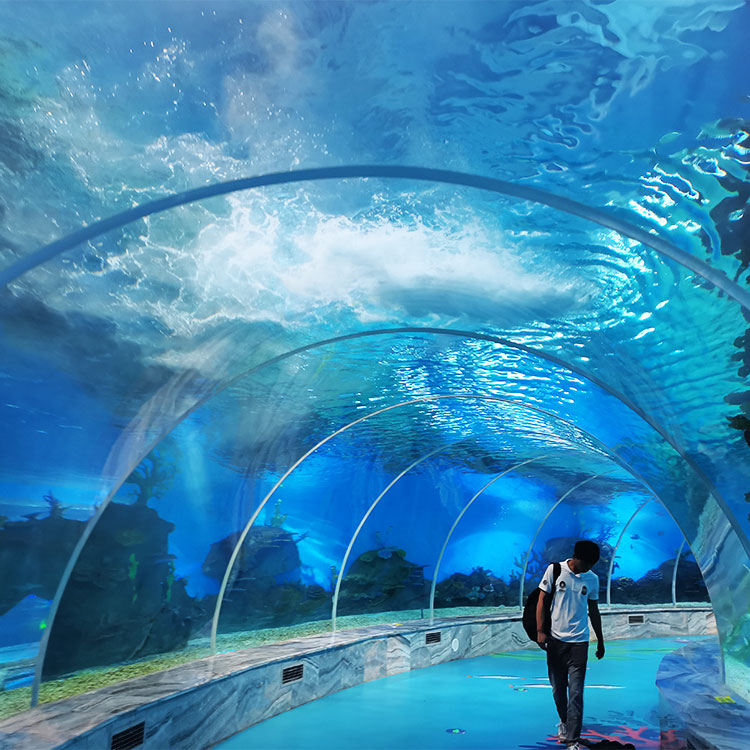¿Por qué es tan popular el túnel del acuario de Georgia? Fábrica de productos de láminas acrílicas Leyu