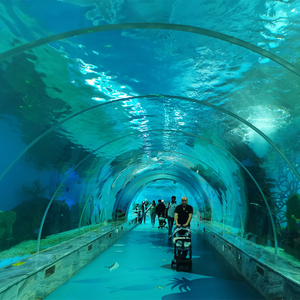 La fábrica de acuarios de túnel submarino personalizados-Fábrica de productos de láminas acrílicas Leyu