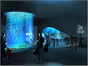 Acuario de acrílico con cilindro transparente grande, pecera, Leyu Acrylic Factory se personaliza para usted - LEYU