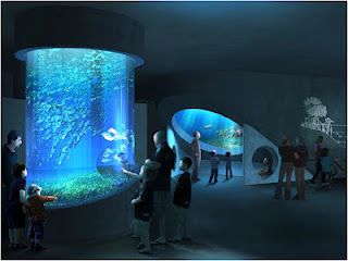 Acuario de acrílico con cilindro transparente grande, pecera, Leyu Acrylic Factory se personaliza para usted - LEYU