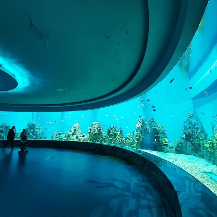 Acuario de ventana acr&iacute;lica - f&aacute;brica (2)