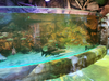 Acuario Aqualife construido por Leyu Acrylic Aquarium Factory - Leyu