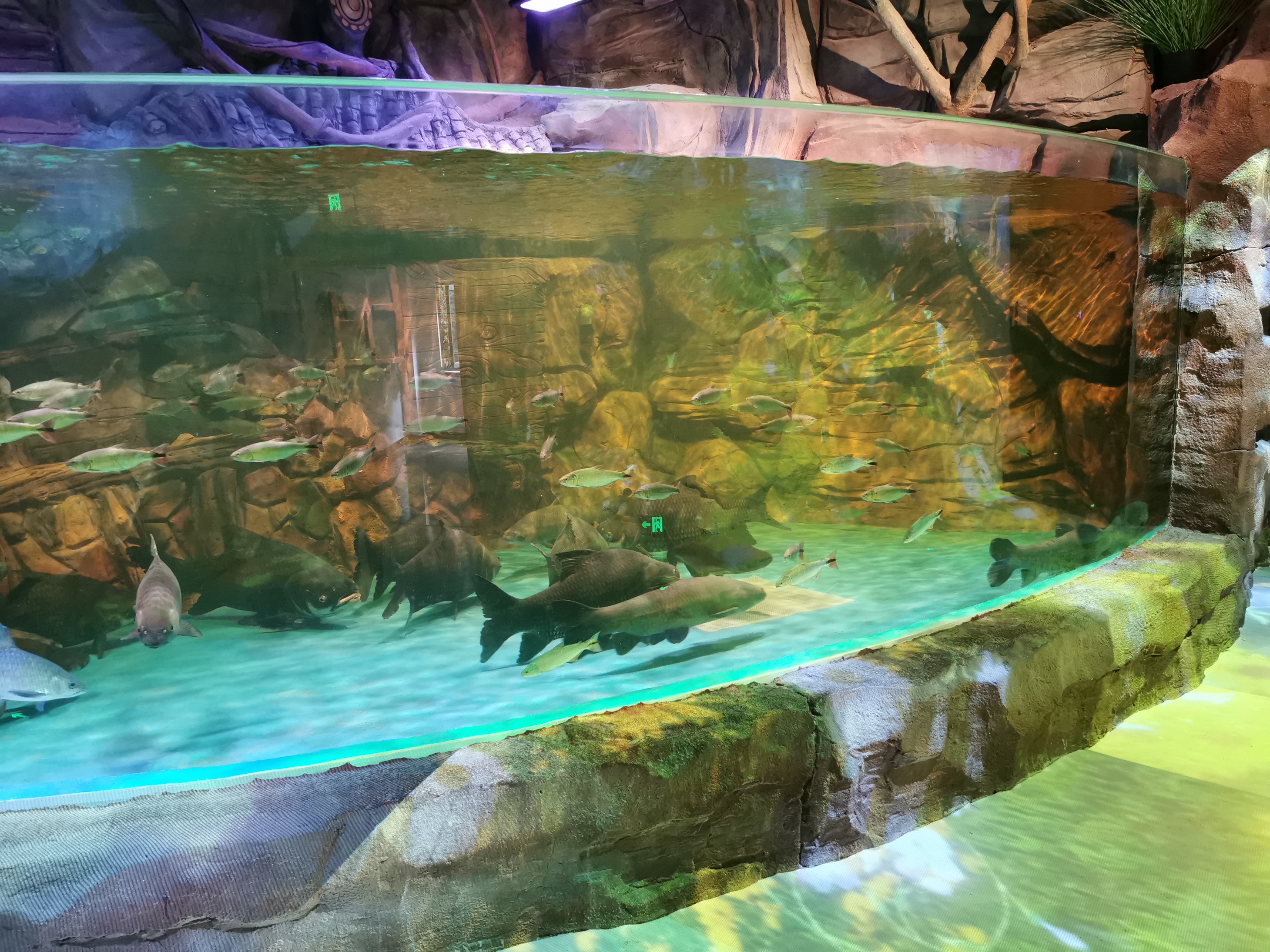 Acuario Aqualife construido por Leyu Acrylic Aquarium Factory - Leyu