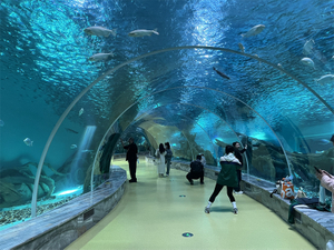 Acuario de túnel acrílico Oceanarium para restaurante submarino o parque oceánico- LEYU