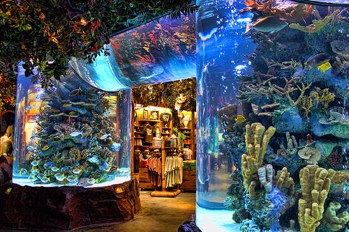 Suministro de fábrica Acuario de pecera de acrílico grande personalizado La fábrica de acrílico Leyu se personaliza para usted - LEYU
