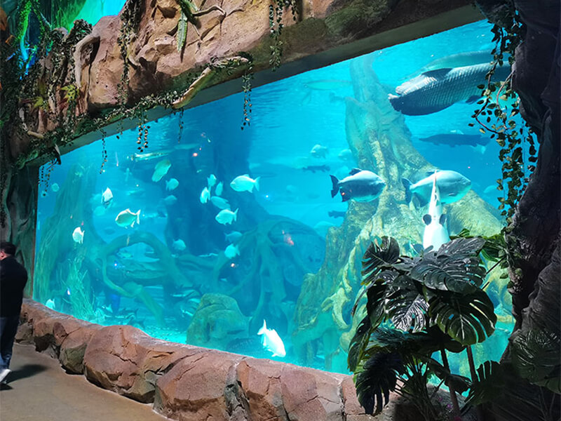 Parque Oceánico Polar Xuzhou Oulebao