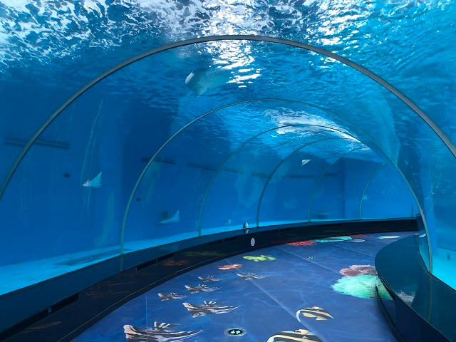 El acuario de cilindro acrílico personalizado debe prestar atención a qué - Leyu