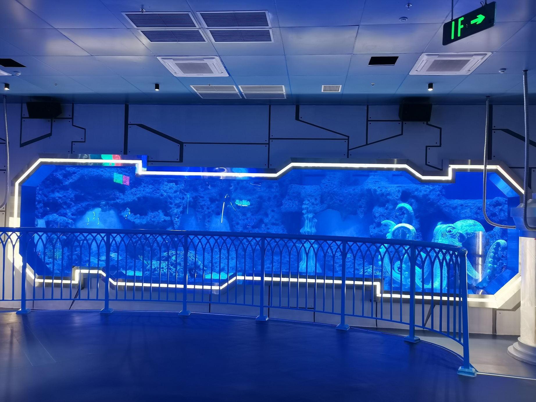 Gran pecera acrílica a la venta Leyu Acrylic Factory se especializa en personalizarla para garantizar que no se ponga amarilla durante 20 años - LEYU