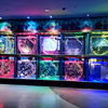 Kits de acuario de medusas Leyu se especializa en personalizar los tanques de medusas para usted - Leyu