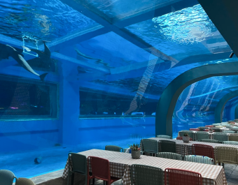 T&uacute;nel del acuario