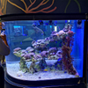 Cómo limpiar ventanas acrílicas en la fábrica de acrílico Ocean Park-leyu