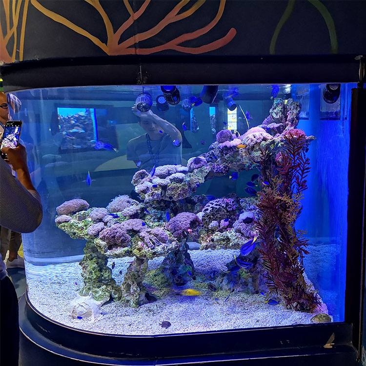 Cómo limpiar ventanas acrílicas en la fábrica de acrílico Ocean Park-leyu