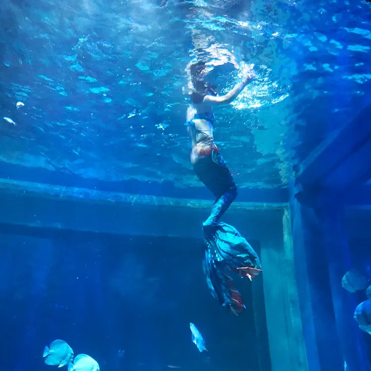 Ventana de visualización acrílica personalizada de diseño de lujo para acuario -Leyu