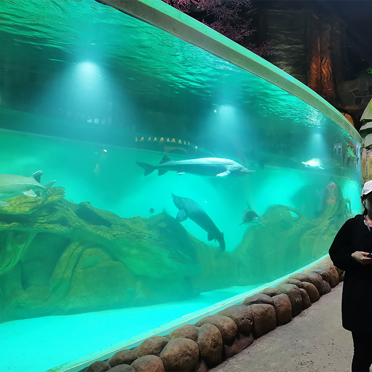 Ventana de acrílico personalizada Acuario Oceanarium-Leyu Fábrica de productos de láminas acrílicas 
