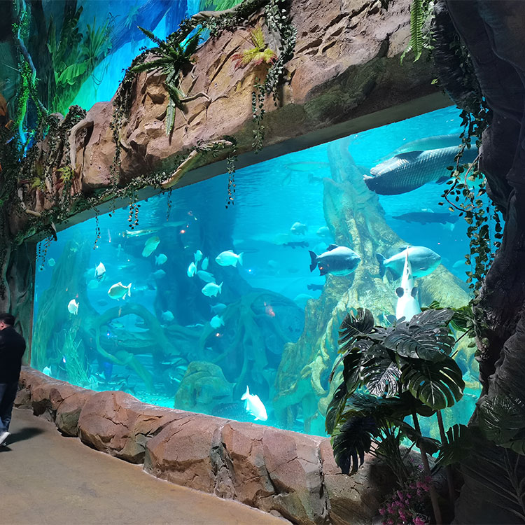 Paneles de acuario acrílicos personalizados de fábrica profesional de cualquier tamaño en Ocean Park - Leyu